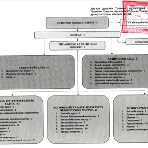 Байгууллагын бүтэц, зохион байгуулалт